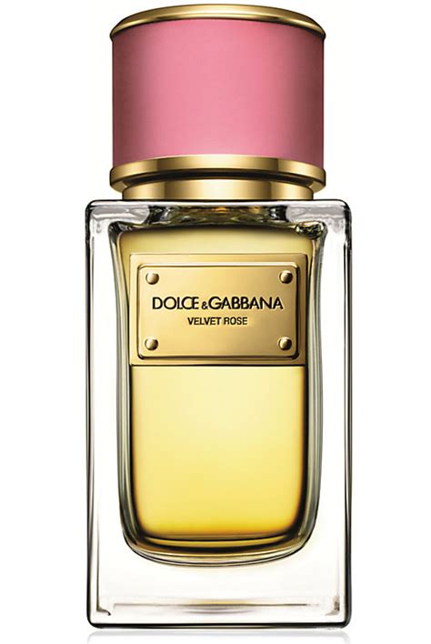 desire dolce gabbana 30ml|velvet rose dolce and gabbana.